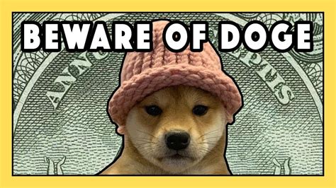 Who Is Dog Wif Hat Warning Shocking Youtube
