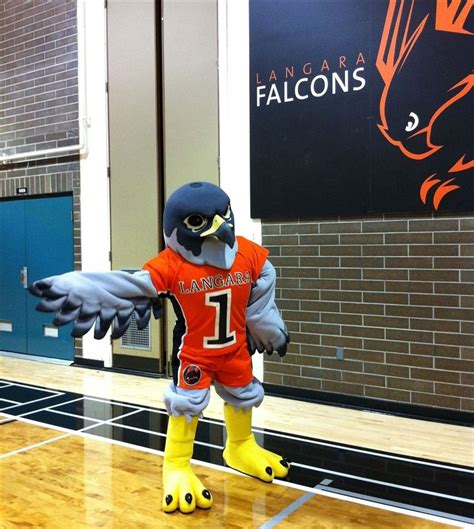 Langara College Falcons Check Out More Of Our School Mascots At