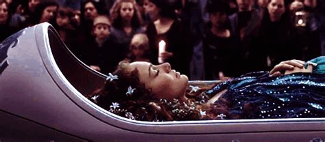 We did not find results for: Padme's Funeral | Cinéma