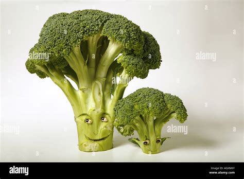 Funny Broccoli On White Background Stock Photo Alamy
