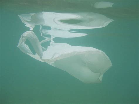 Plastic Bag Floating Into The Sea Polluted Enviromental Recycl
