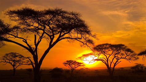 Sunset In The Serengeti Tanzania Windows 10 Spotlight Images