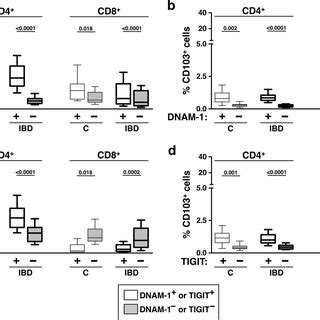 Tigit Is More Expressed Than Dnam On Mucosal T Cell Populations Of