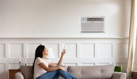 Best Wall Mounted Air Conditioner Heater Combo Of 2024