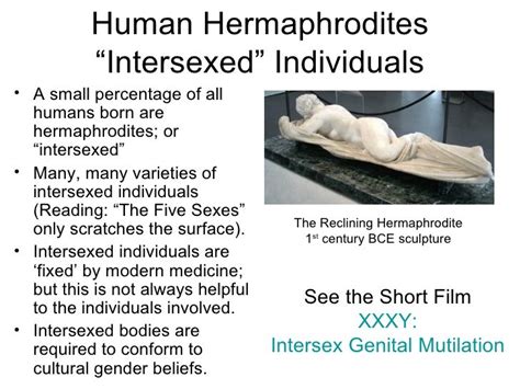 Difference Between Hermaphrodite And Intersex Definition