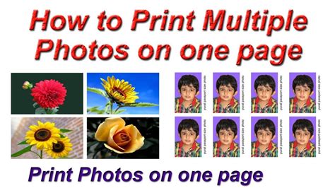 How To Print Multiple Photos On One Page Print Multiple Passport Size Photo One Page A4
