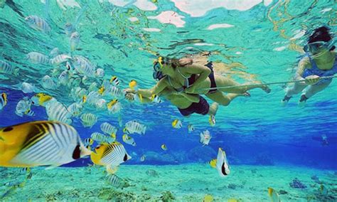11 Best Snorkeling Spots In America Ecowatch