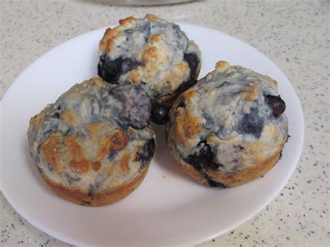 Nothin Fancy Blueberry Muffins 3 Smart Points