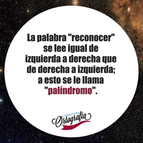 Palabra o frase que se lee igual de izquierda a derecha que de derecha a izquierda, como el vocablo anilina o el término kayak. Palíndromo | Palabras de ortografía, Ortografía, Aprender ...