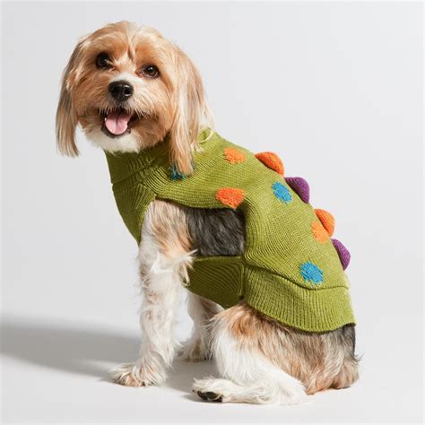 Funny Dog Sweaters For Your Pet Home And Design