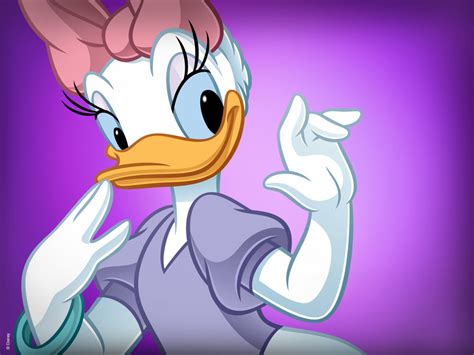 Daisy Duck By Andreyl D U Jj Cutiepie Wallpaper