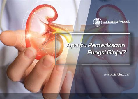 Akan tetapi ada satu istilah lagi yang mungkin belum diketahui oleh beberapa orang, yaitu tentang firmware. Apa itu Pemeriksaan Fungsi Ginjal?