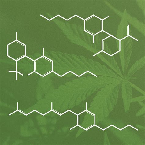 Cannabinoids Creekside Cannabis