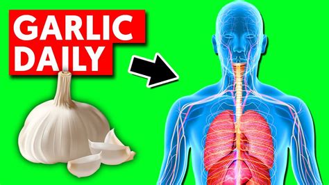 Eat Garlic Every Day And This Is What Happens To Your Body YouTube