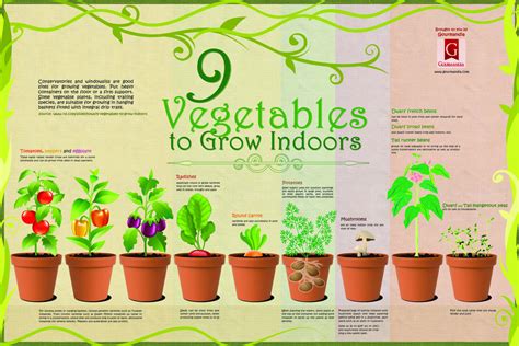 9 Vegetables To Grow Indoors Visually