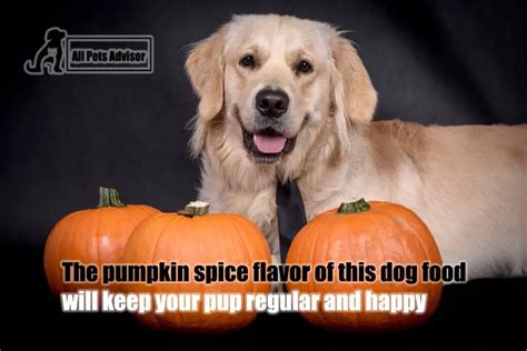 Pumpkin For Dog Diarrhea Dosage What To Avoid Everything For Pets