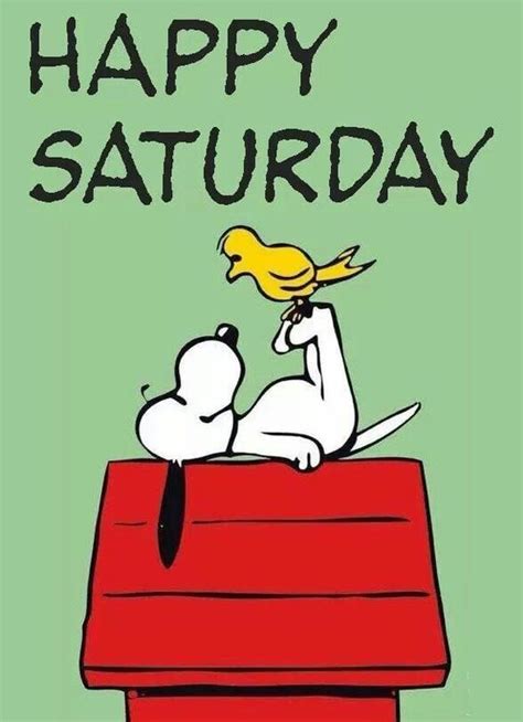 I want to be known for the work i've done, as opposed to where i go on saturday nights. 60 Funny Saturday Quotes, Sayings and Images for the Weekend