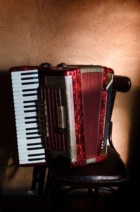 92 Best Accordion Images On Pinterest Music Instruments Musical