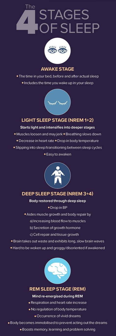 Stages Of Sleep Cycle