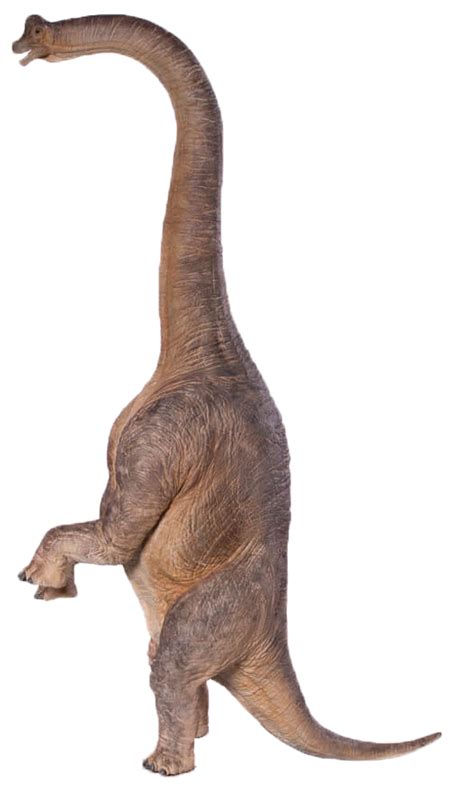 Jurassic World Brachiosaurus Render 1 By Tsilvadino On Deviantart