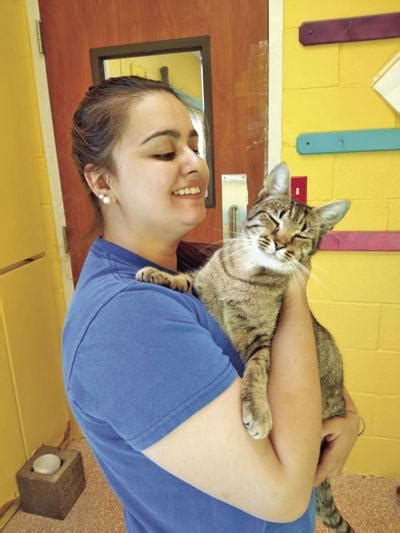 Adoptions Fall Surrenders Up At Noahs Ark Animal Shelter