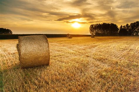 Free Photo Hay Agriculture Field Land Free Download Jooinn