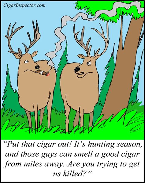 Funny Quotes About Deer Season Quotesgram