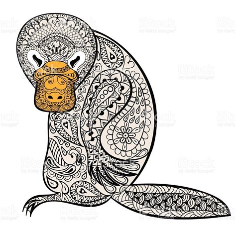 Https://wstravely.com/coloring Page/adult Platypus Coloring Pages