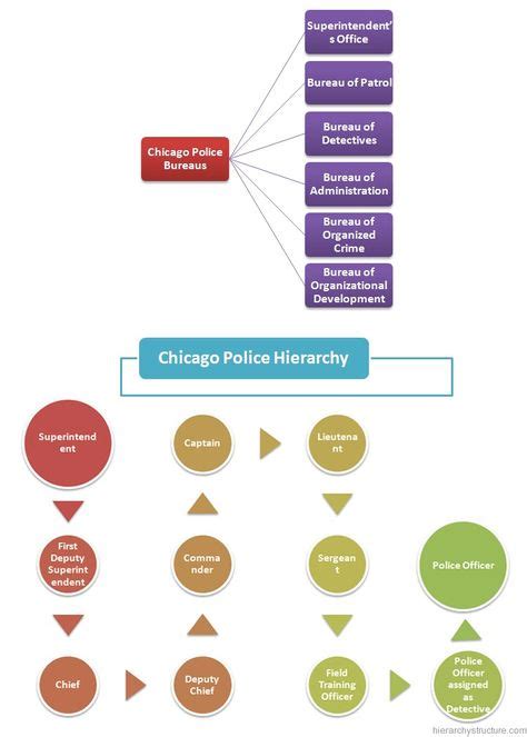 Police Hierarchy Ideas Hierarchy Police Organizational Structure