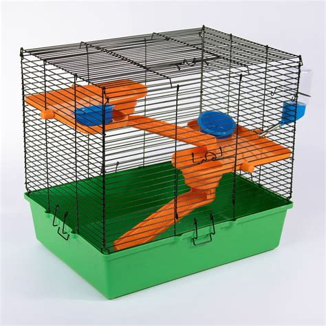 How Big Of A Cage Do Hamsters Need Ph