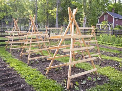 Squash And Cucumber Trellises Cucumber Trellis Garden Trellis