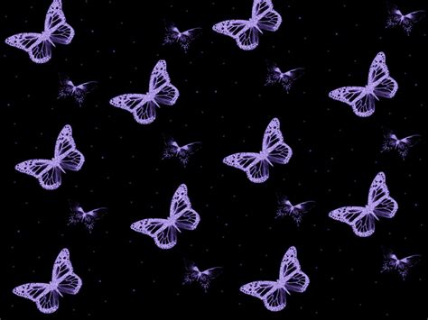 Free Download Purple Butterflies Wallpaper 1280x960 For Your