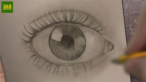 Como Dibujar Ojos Realistas A Lapiz Paso A Paso Dibujos Faciles How To Draw Eyes Dibujos