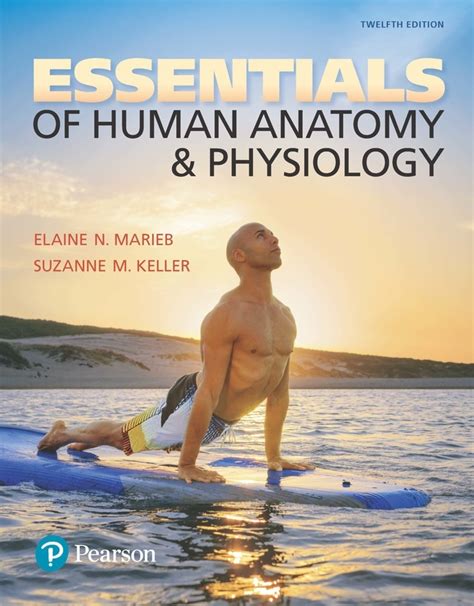 Essentials Of Human Anatomy And Physiology 12th Edition Pearson