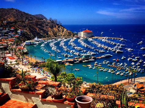 Renting A Golf Cart For Your Catalina Island Adventure The Annika Academy