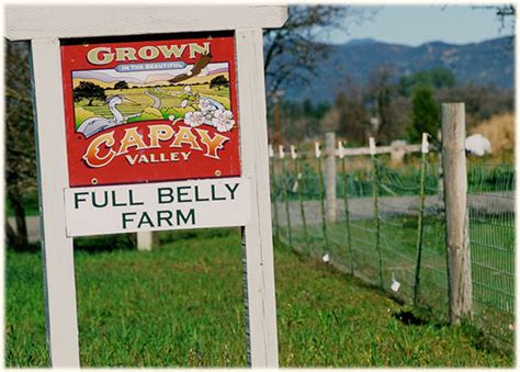 Full Belly Farm Organic Vegetables Fruit And Wool