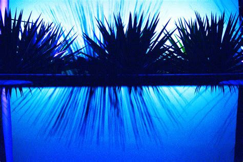 Backlit By Blue Photograph By Richard Henne Fine Art America