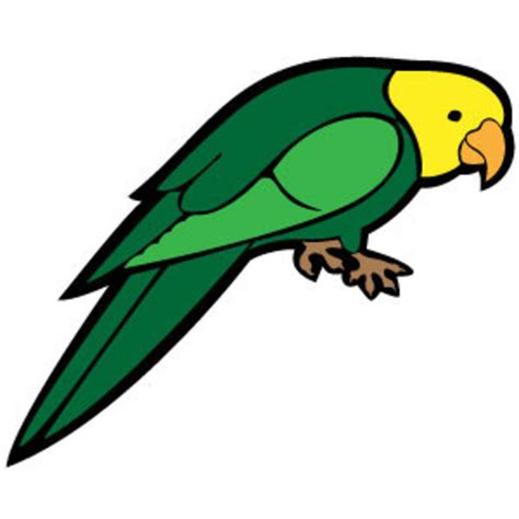 Parrot Vector Image Vp Freevectors