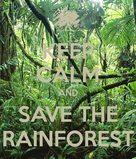 Quotes About The Rainforest Quotesgram