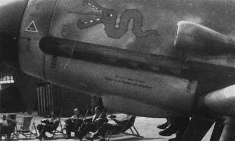 Luftwaffe Nose Art Tatzelwurm 2 Cockpitrockers