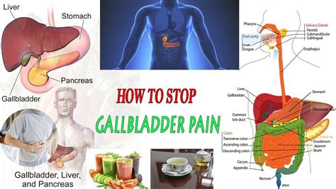 How To Prevent Gallbladder Problems How To Stop Gallbladder Pain