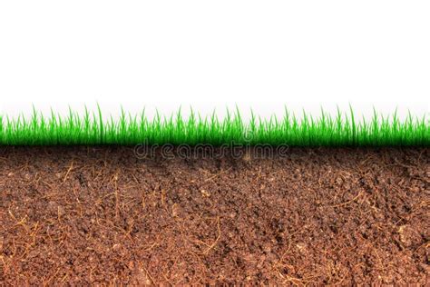 876 Soil Grass Cross Section Stock Photos Free And Royalty Free Stock