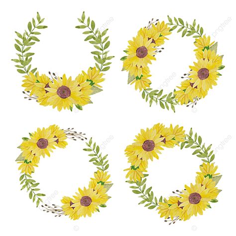 Watercolor Hand Painted Sunflower Circle Wreath Illustration Yellow