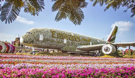 Read This Before Visiting The Dubai Butterfly Garden Tix Tips And More