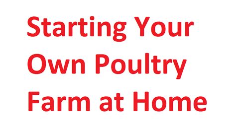 9 Lucrative Suggestions For Starting Your Own Poultry Farm