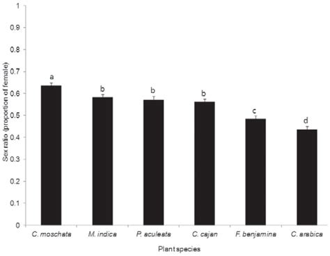 Sex Ratio Proportion Of Females ± Se Of Rastrococcus Iceryoides Download Scientific Diagram