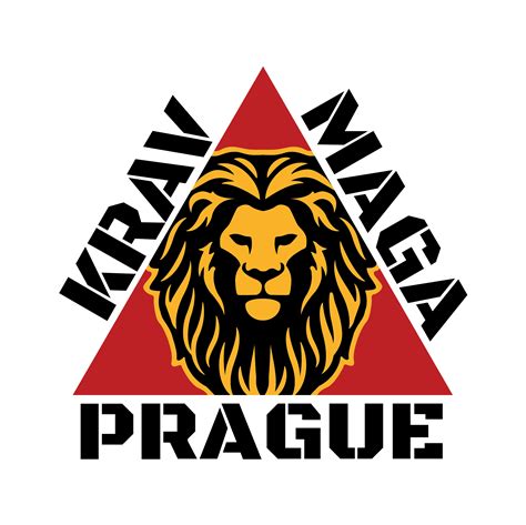 Krav Maga 5 Fast Facts You Need To Know Krav Maga Prague