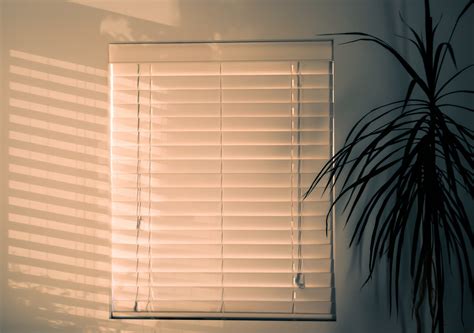 Seven things you need to know before installing vertical blinds - Lives On