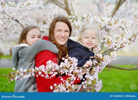 Mother And Her Children In Blooming Cherry Garden Stock Photo Image