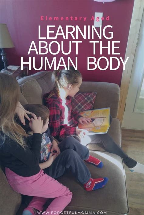 Learning About The Human Body Elementary Ages Forgetful Momma